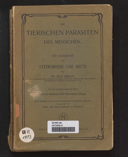 Zur Seitenansicht