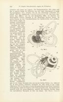 Seite 234