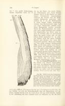 Seite 194