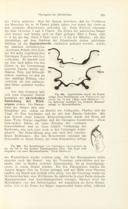 Seite 335