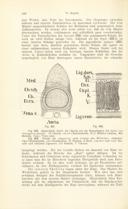 Page 348