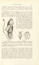 Page 349