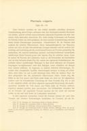 Seite 185