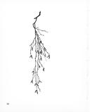 Seite 61