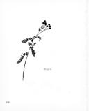 Seite 223
